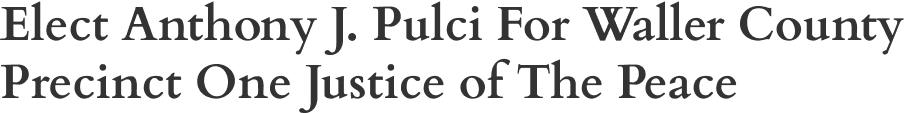 Campaign sign for Anthony J. Pulci election.